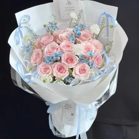 Stardust Dreams – 19 Rosa Rosen