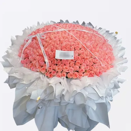 520 Rosa Rosenstrauß