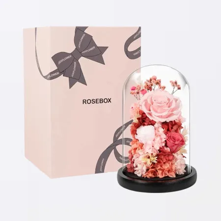 Esposizione Rosa Eterna Per Cina