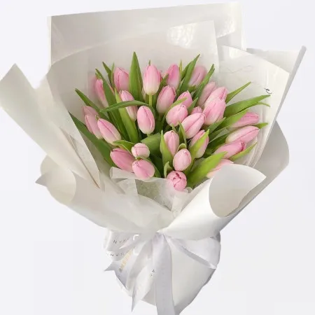 Blush Elegance – 30 rosa Tulpen