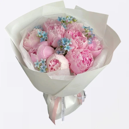Blush Pfingstrosen- & Blue-Star-Strauß-9 Pfingstrosen