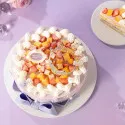 Bliss Cake Delicious Milk Cake D107