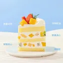 Bliss Cake Torta al Latte alla Frutta D108