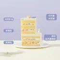 Gâteau au Lait aux Fleurs Bliss Cake D109