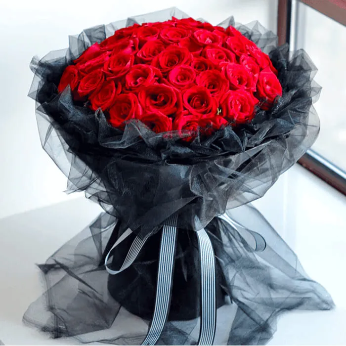 66 Rose Rosse A102