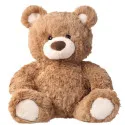 Kleiner Teddybär Plüschtier für deine Liebe G112