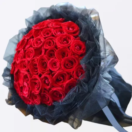 66 Rose Rosse A102