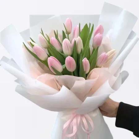 19 Tulipani Rosa A190