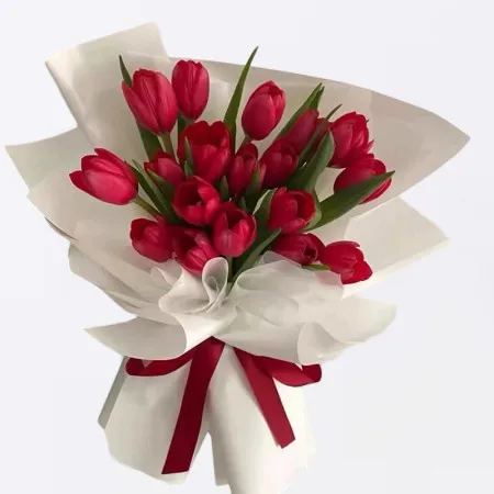 19 Tulipes Rouges A191