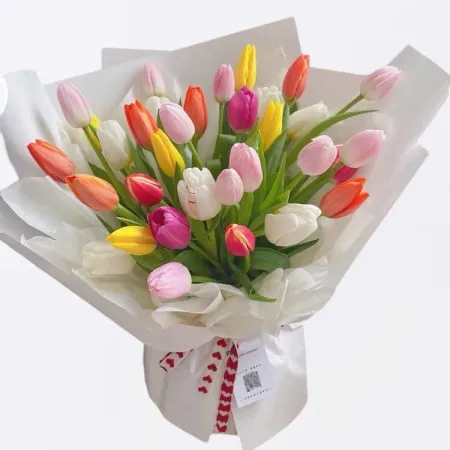 33 Tulipani Multicolori A192