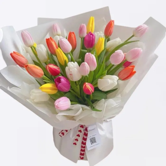 33 Tulipanes Multicolor A192
