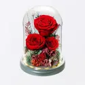 Eternal Rose Display To China