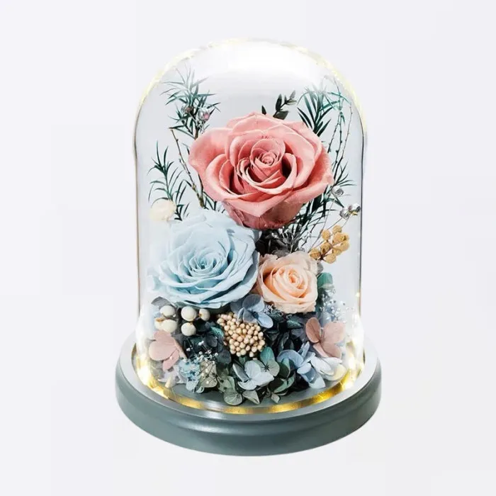 Esposizione Rosa Eterna Per Cina