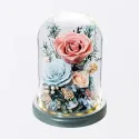 Eternal Rose Display To China