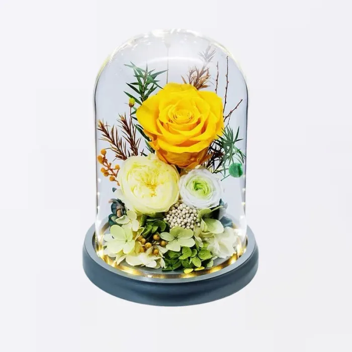 Ewige Rosen Darstellung