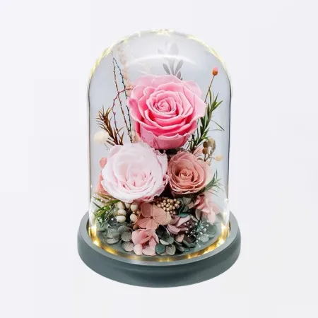 Esposizione Rosa Eterna Per Cina