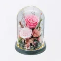 Eternal Rose Display To China