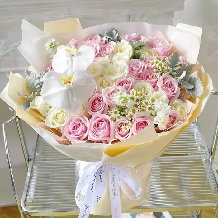 33 Rosas Rosadas con Orquídea Phalaenopsis A213