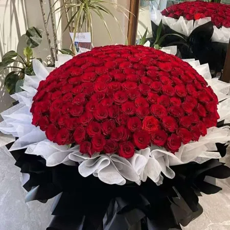 365朵红玫瑰花束A237