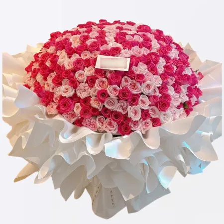 Ramo de 520 Tallos de Rosas Rosadas Mixtas A253