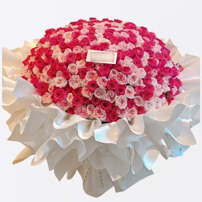 Bouquet di 520 Steli di Rose Rosa Miste A253