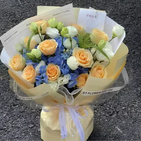 Hortensia bleu et 11 champagnes A129