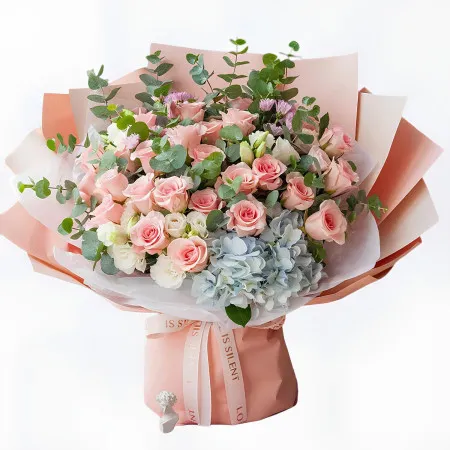 Costa Tierna – 33 Rosas Rosadas y Hortensia Azul A270