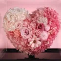 Everlasting flower to china